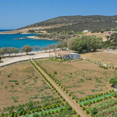 Villa Seaside Glyfa Paros *