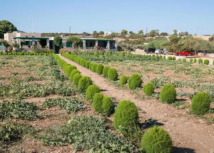 Seaside Glyfa Paros Vila Aspro Chorio