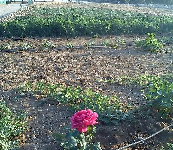 Seaside Glyfa Paros Villa *